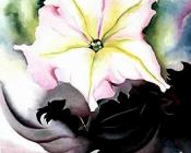 乔治亚 奥基夫 : Petunia and Coleus